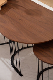 Ripa Coffee Table