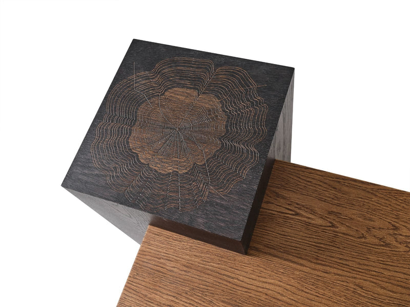 Atmacha Home And Living Coffee Table Pablo Coffee Table