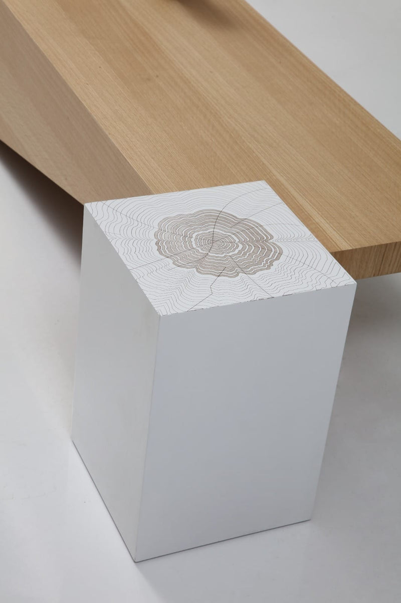 Atmacha Home And Living Coffee Table Pablo Coffee Table