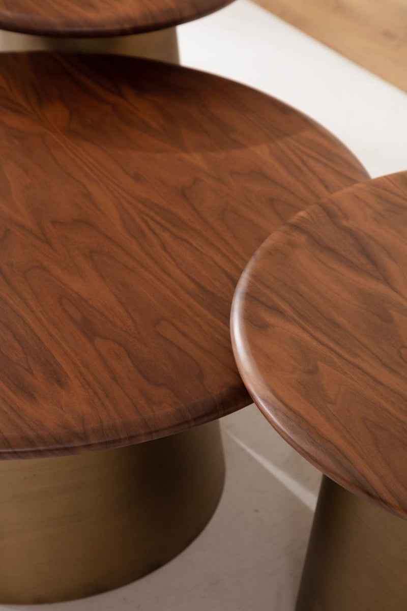 Atmacha Home And Living Coffee Table Tola Coffee Table