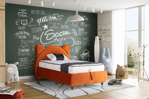 Atmacha Home And Living Kids Room Cat Bed With Storage