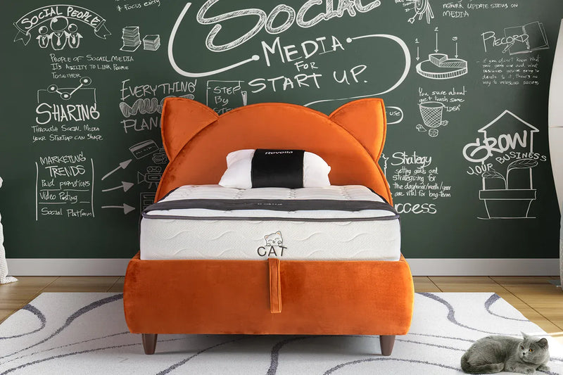 Atmacha Home And Living Kids Room Cat Bed With Storage