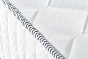 Atmacha Home And Living Mattress Zelie Mattress