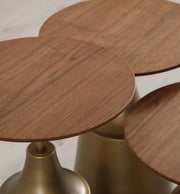 Atmacha Home And Living Nesting Table Siena Nesting Table