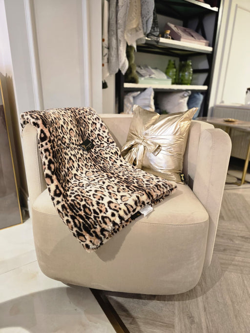 Atmacha Home And Living outlet Armchair / Cream / Chrome Ex Display Gilletti Armchair