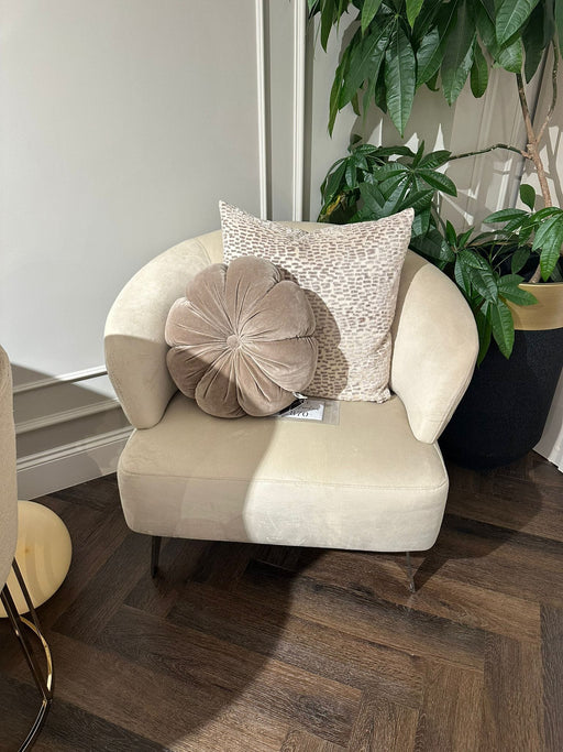 Atmacha Home And Living Outlet Cream / Chrome Ex Display Odette Armchair