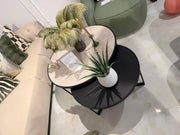 Atmacha Home And Living Outlet Traverten- Black Concrete / Black Ex Display Mercedes Twin Coffee Table Set of 2