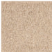 Atmacha Home And Living Rug Boden Sand Rug