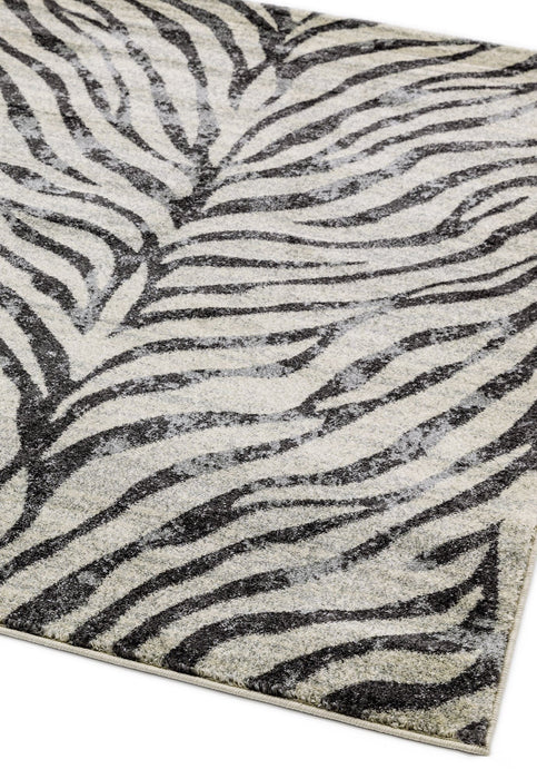 Atmacha Home And Living Rug Nova Zebra Grey Rug NV27