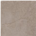 Atmacha Home And Living Rug Tova Moleskin Rug