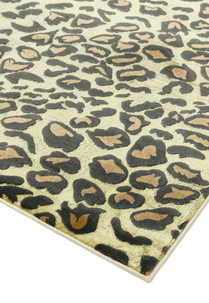 Atmacha Home & Living Rug Quantum QU01 Leopard Modern Rug