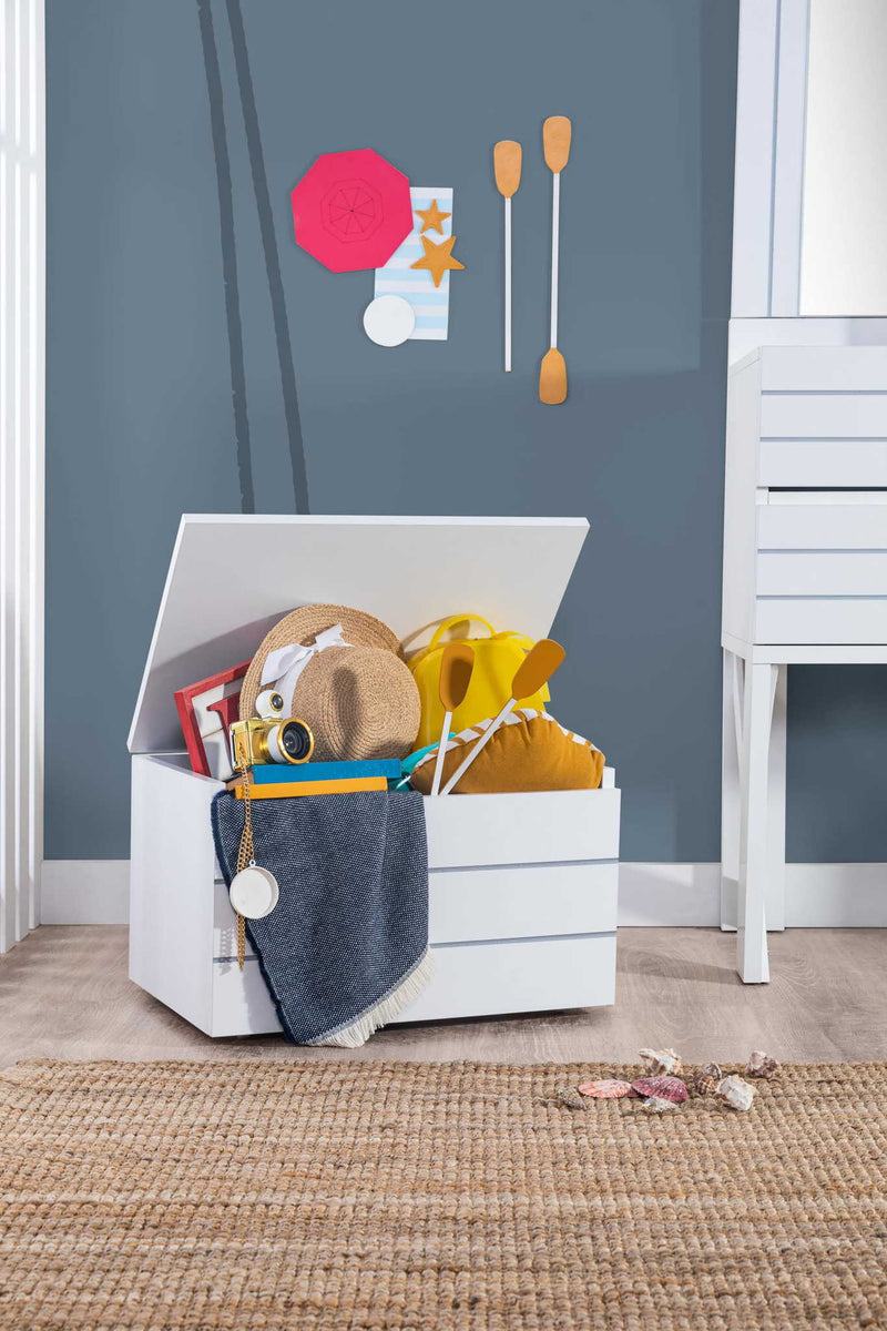 Atmacha Home And Living Kids Room Skye Toy Box